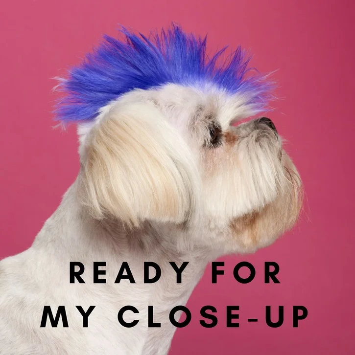 Ready%2Bfor%2Bmy%2Bcloseup.jpg