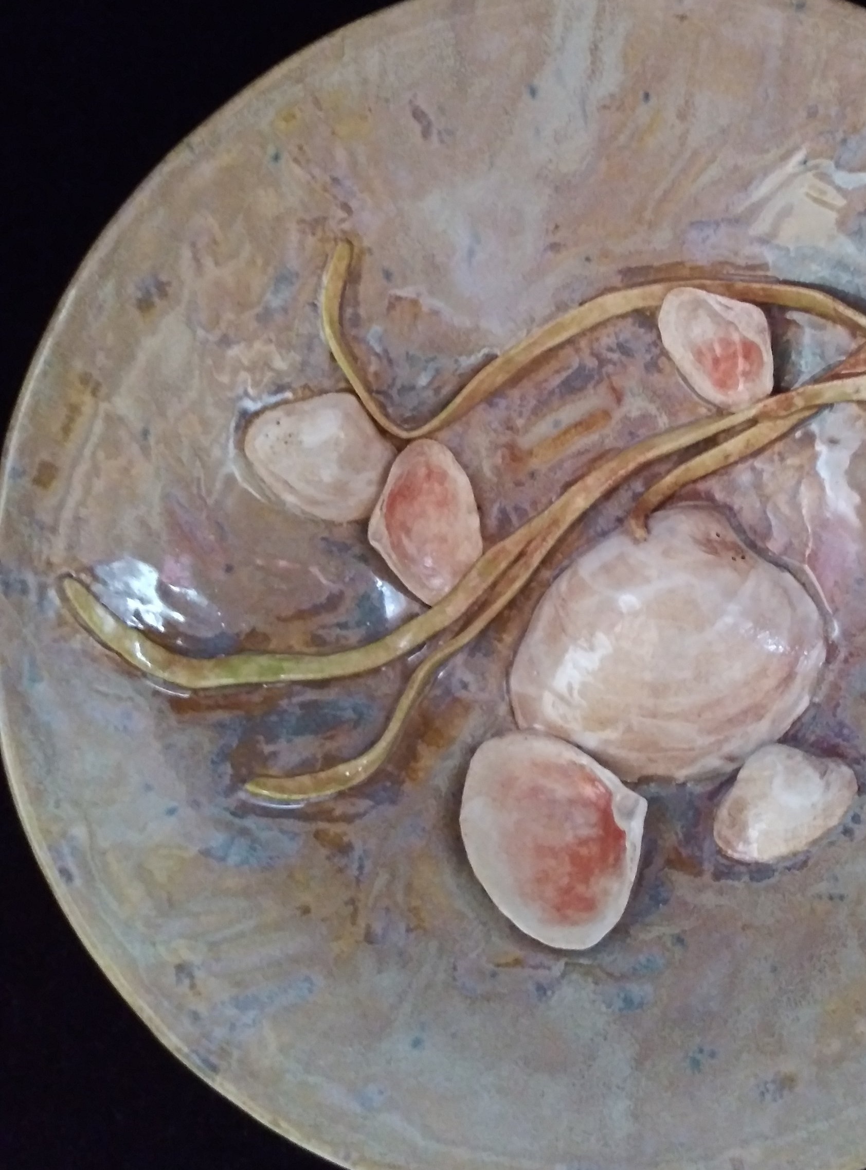 Six+Clams+%26+Seaweed+on+Sand+1.6.jpg
