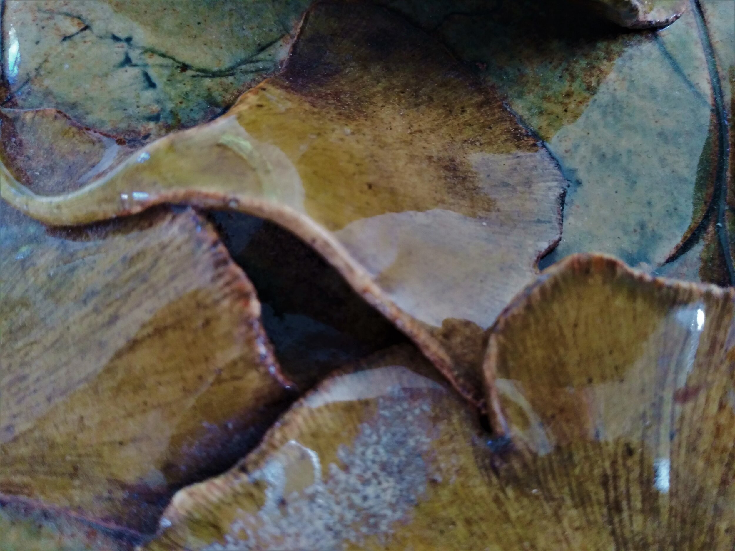 Ginkgo Cluster 2.3.jpg
