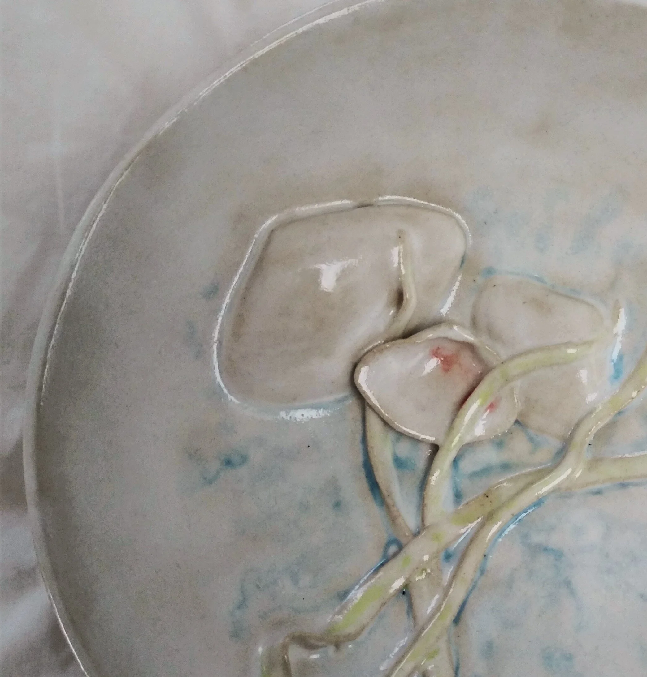 Alabaster Shells 1.3.jpg