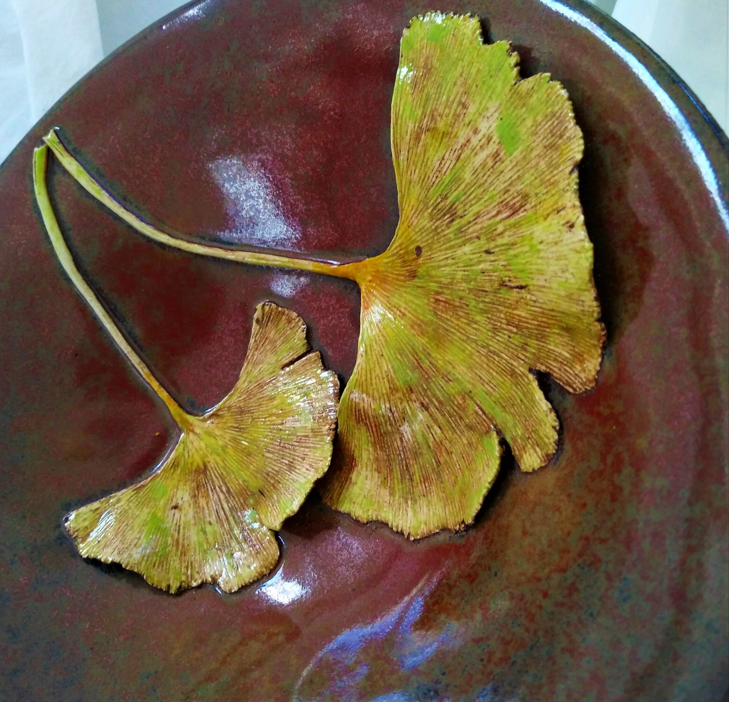 Twin+Ginkgos+2.3.jpg