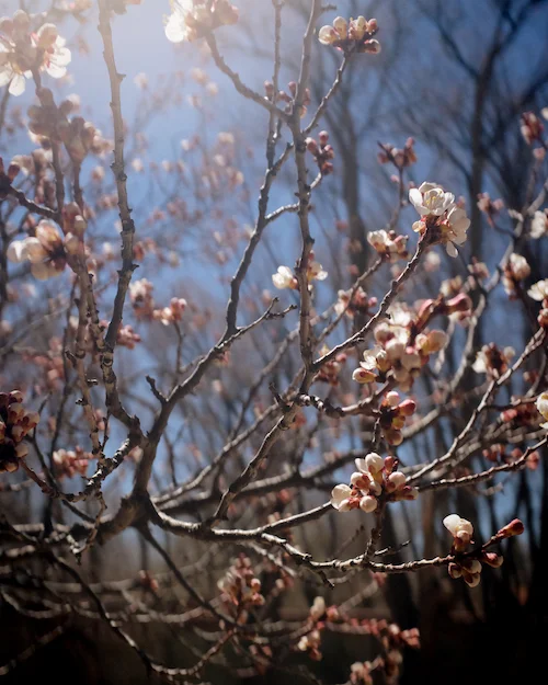 Photo by CNA Member Mark Herndon