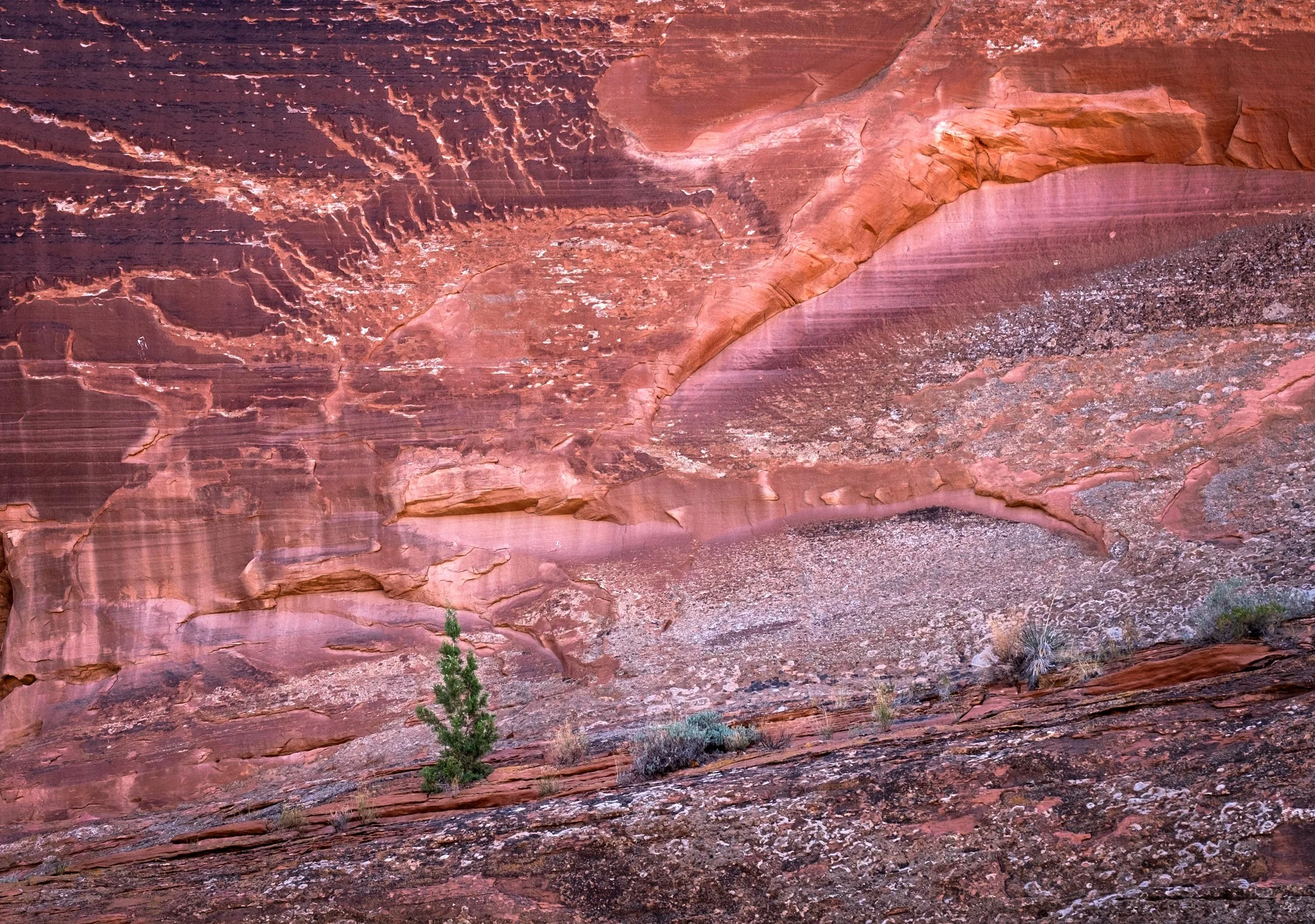 Canyon de Chelly - wall detail