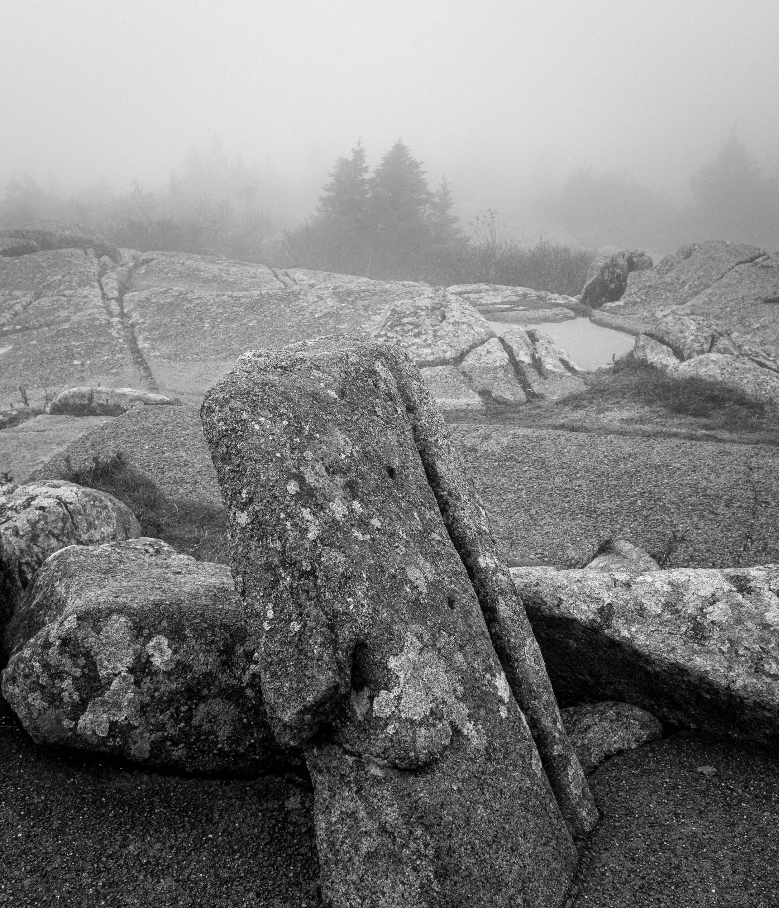 Cadillac Mountain - fog