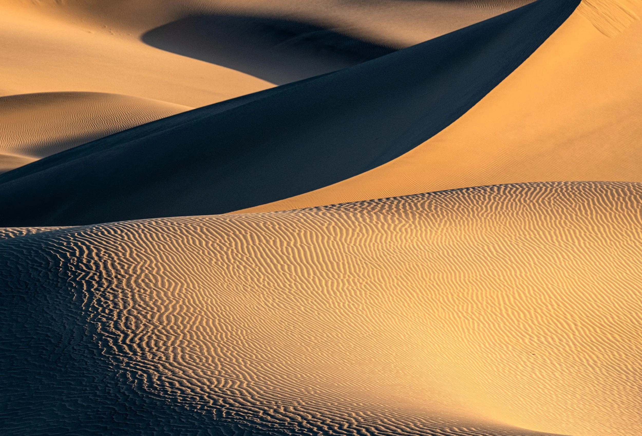 Golden Dunes