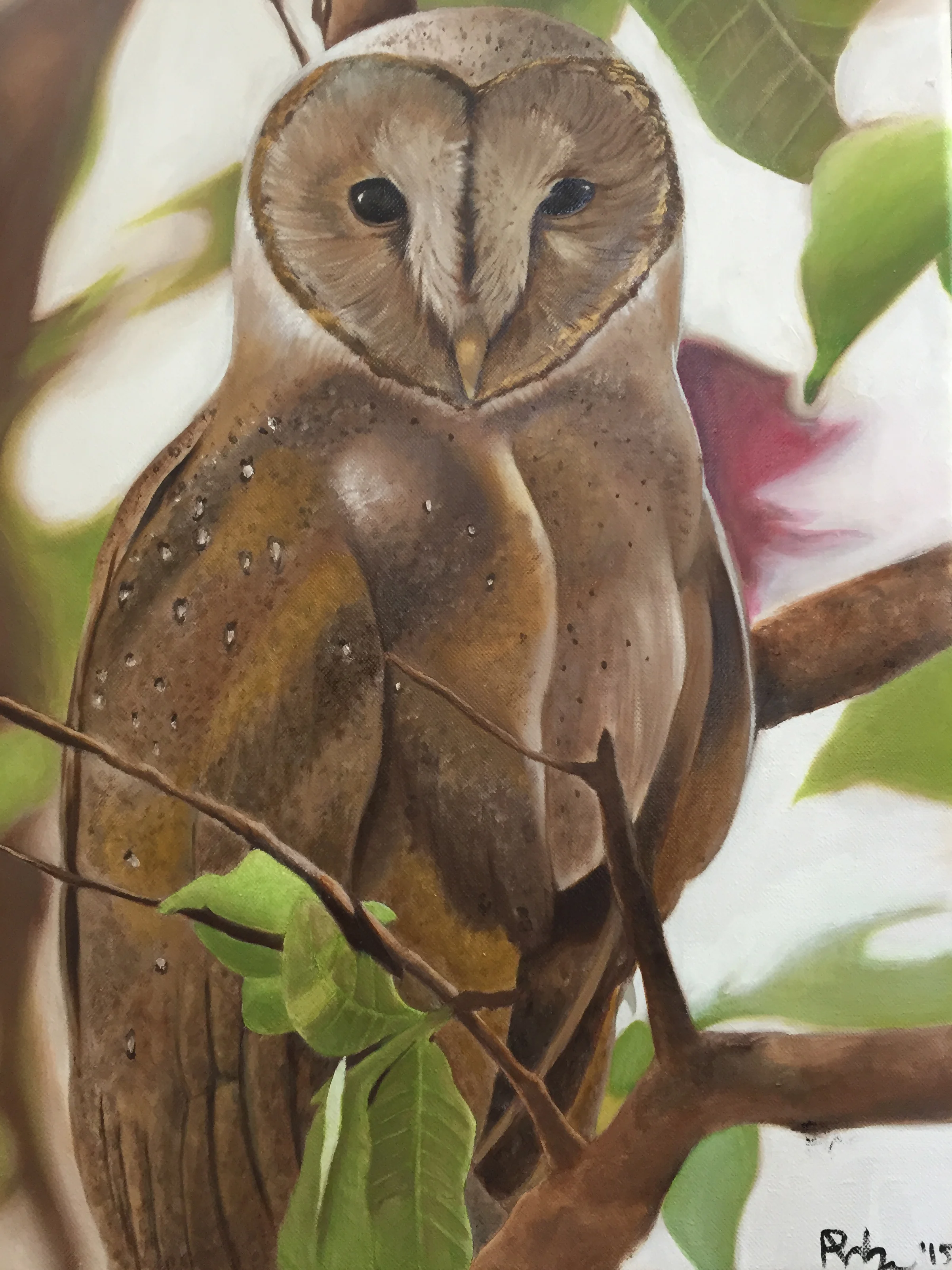 Barn Owl Study 2 (Oils)