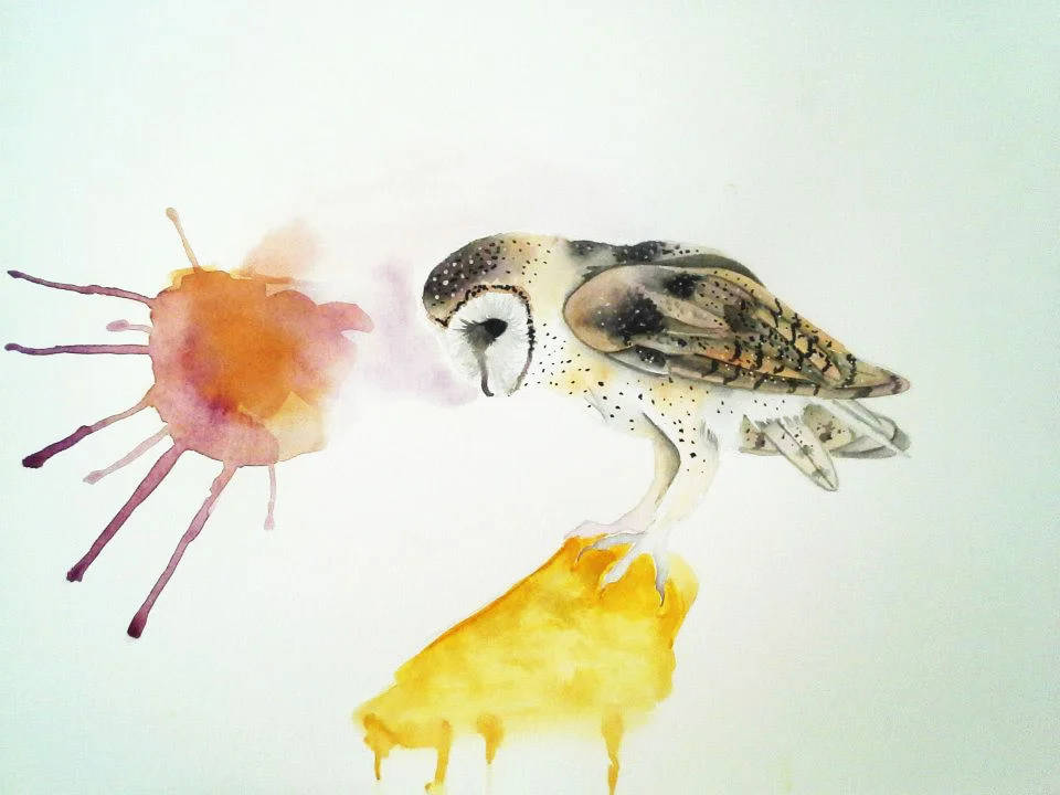 Owl Study 5 (Mixed Media)