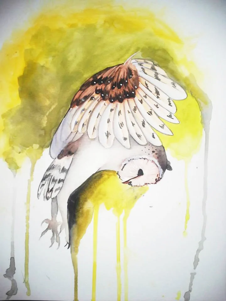 Owl Study 3 (Mixed Media)