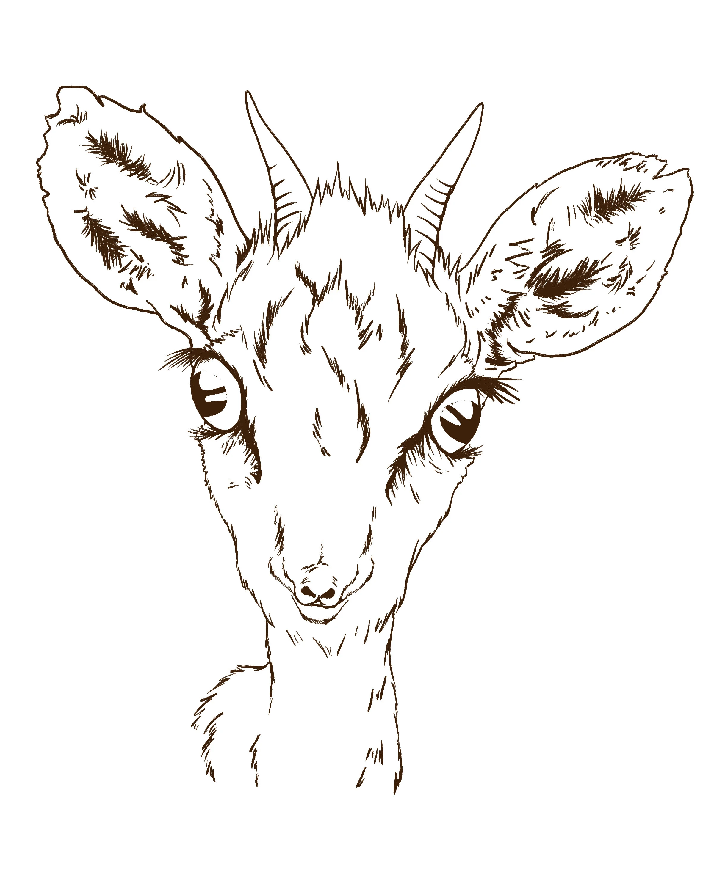 drpdeer.jpg