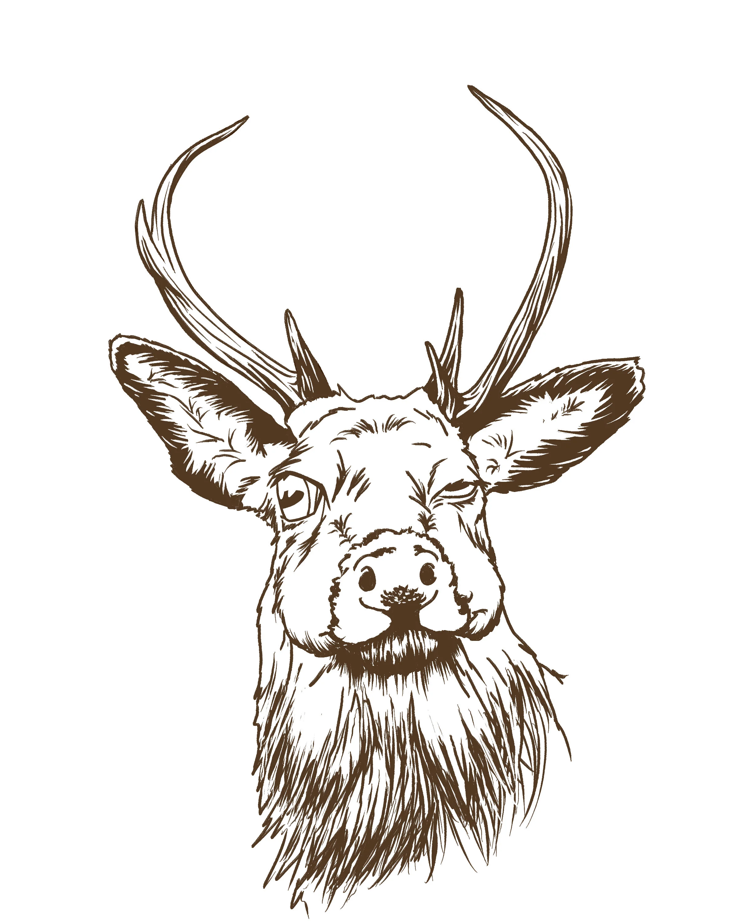drpdeer3.jpg