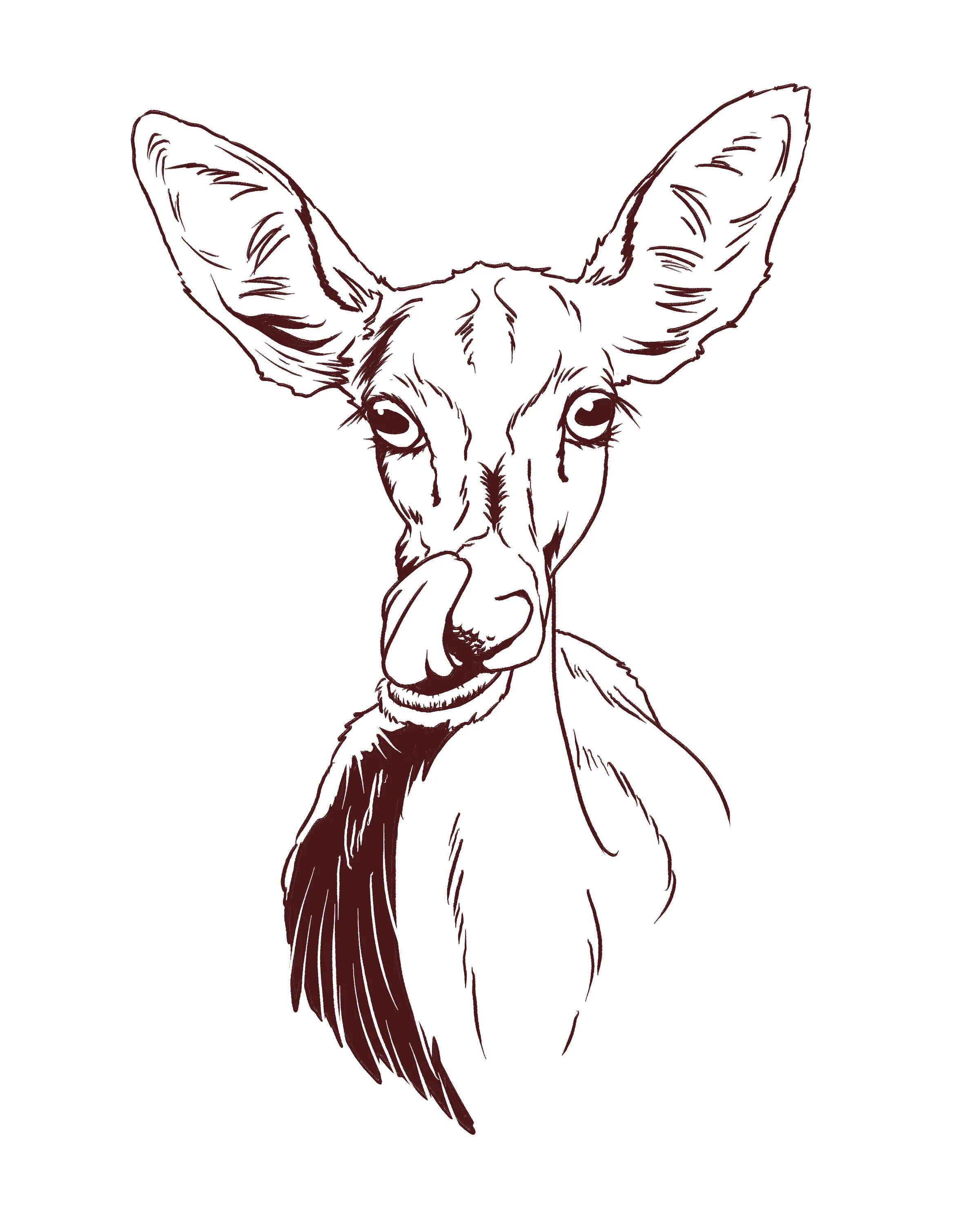 drpdeer5.jpg