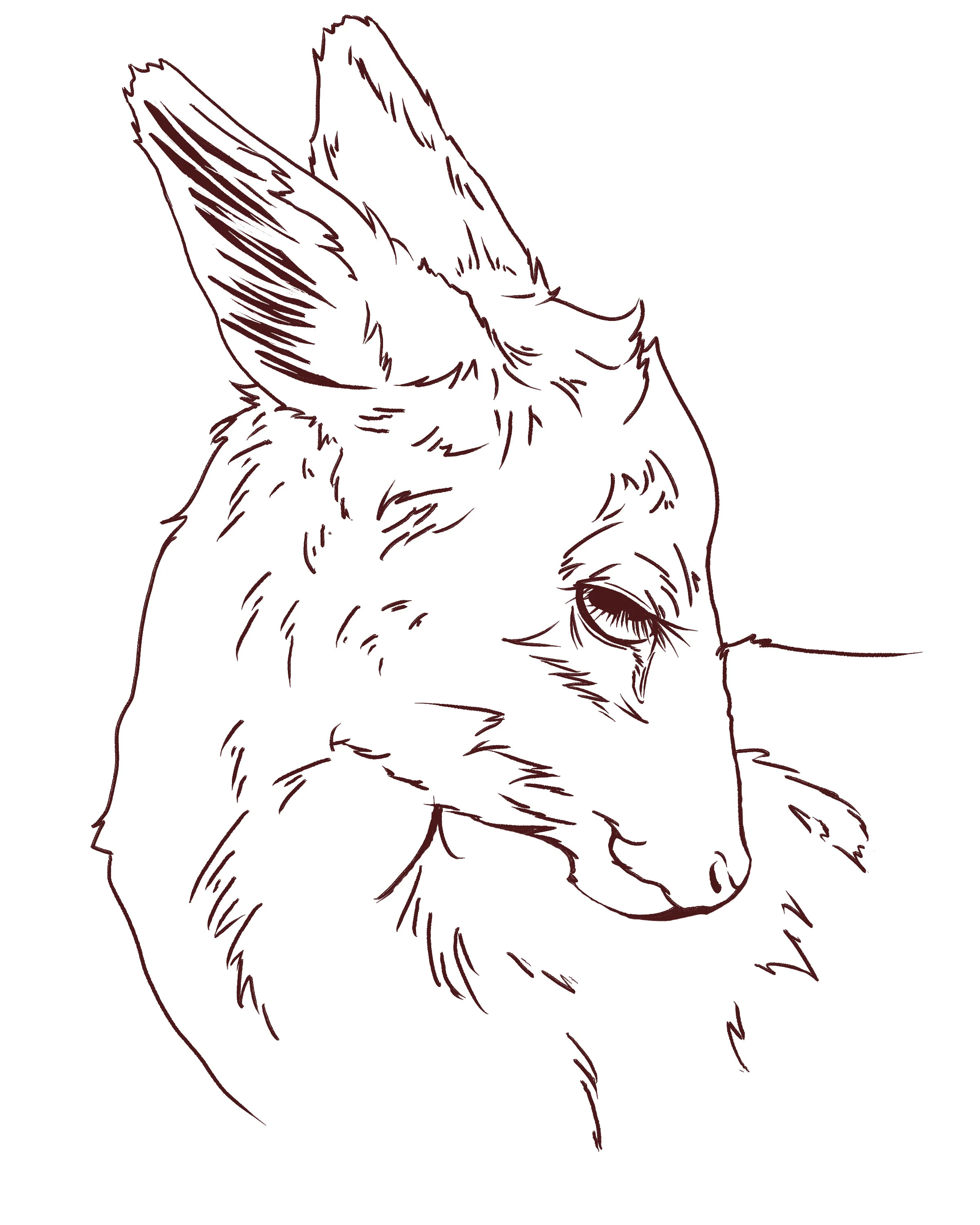drpdeer6.jpg