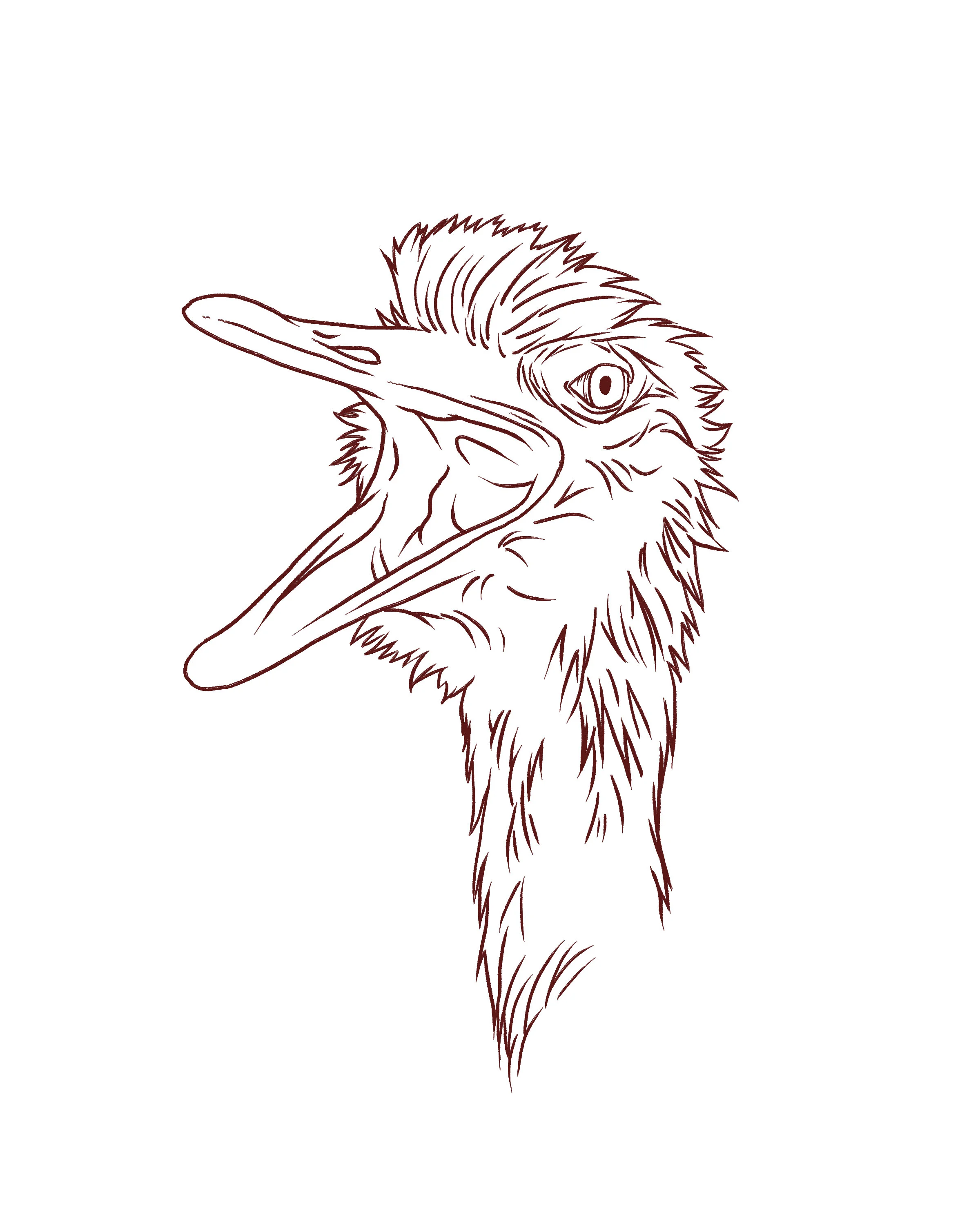 emu2.jpg