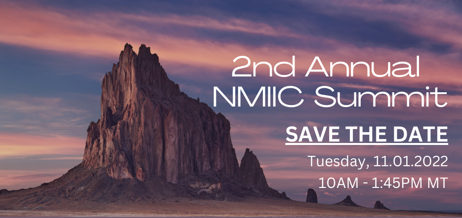 NMIIC Summit Banner_2022.png