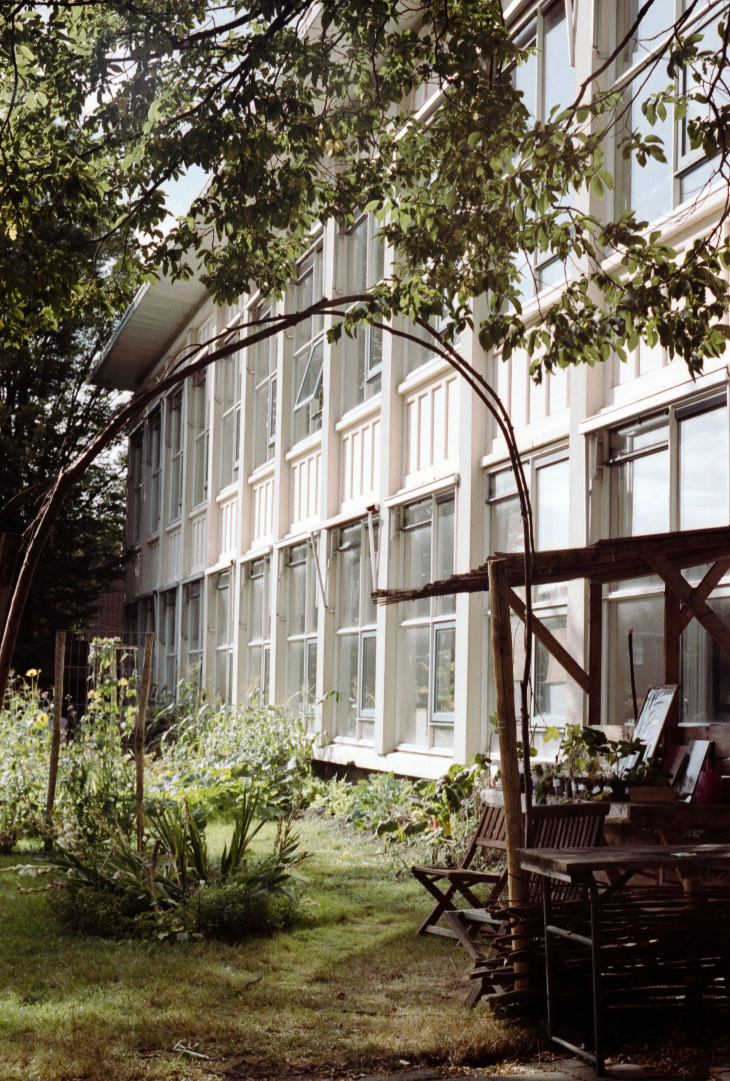 Film_0053_11.jpg