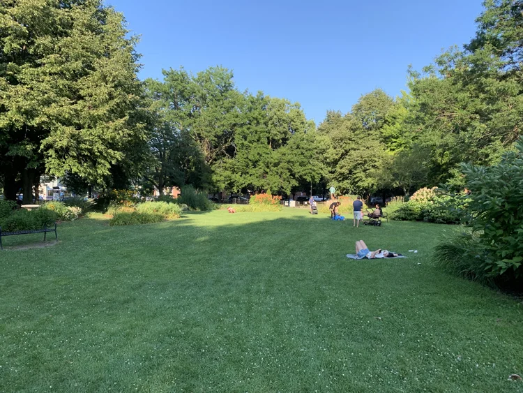 Garden in Lincoln Park