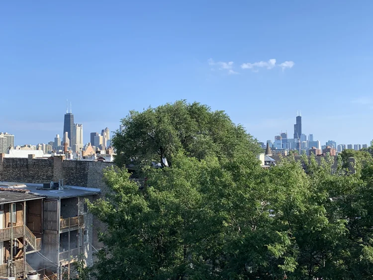 View of Chicago Skyline