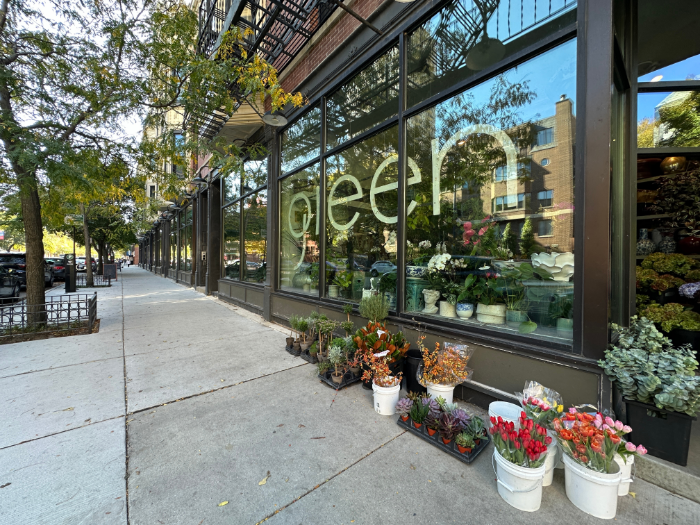 Old Town Triangle Plant Shop