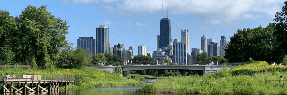 Lincoln Park Chicago Real Estate Guide