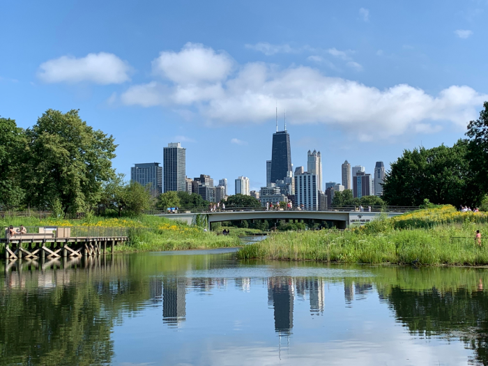 View of Chicago Skyline from Lincoln Park