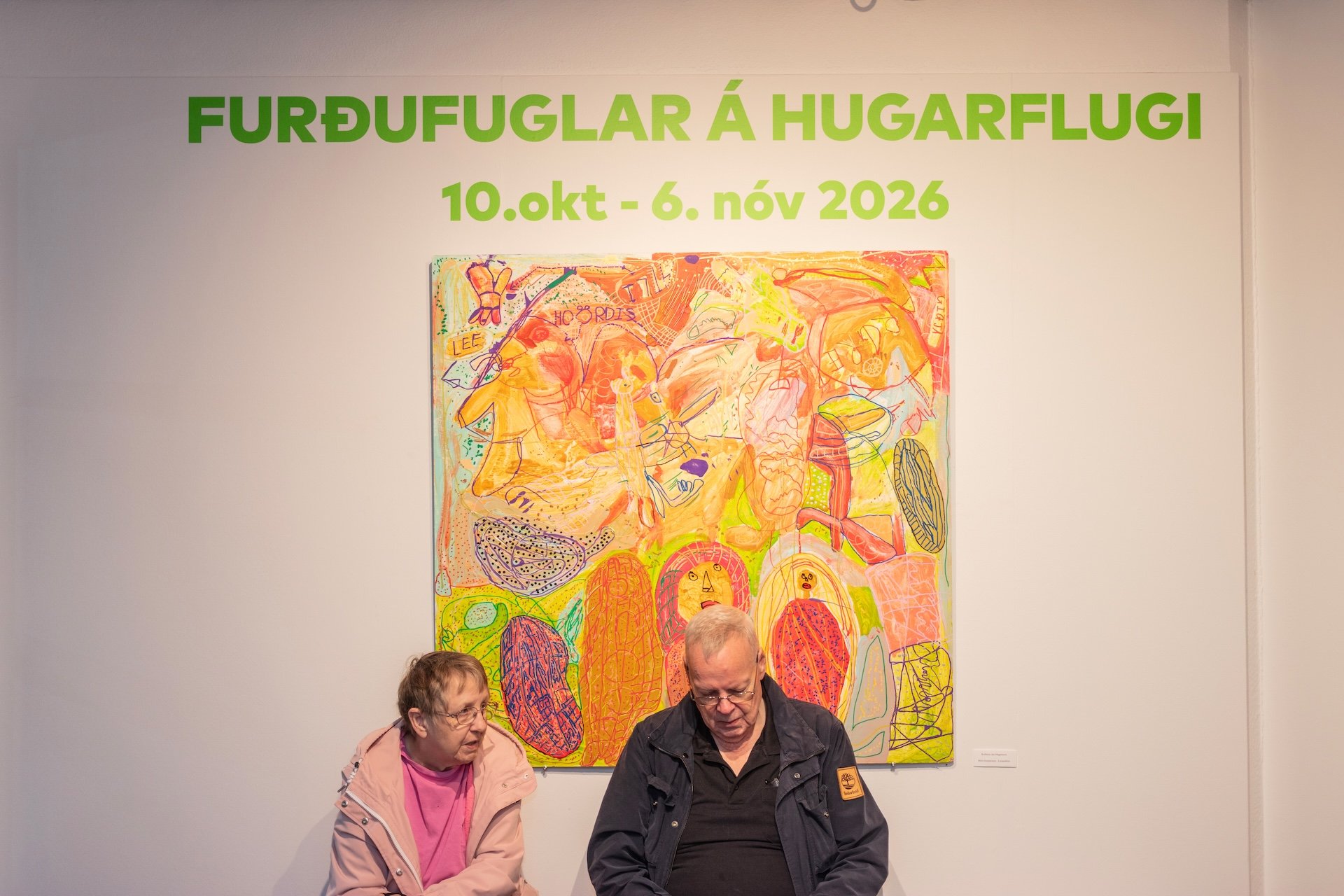 261010_List án landamæra_0047.jpg