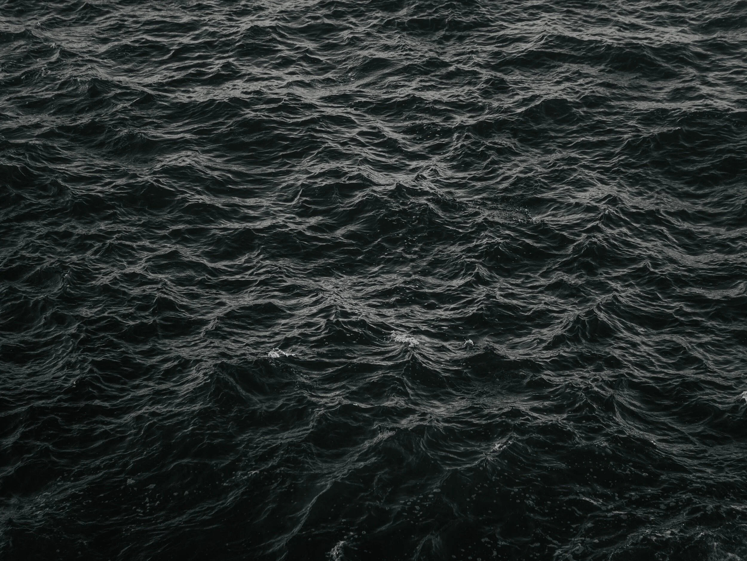 image-asset.jpg