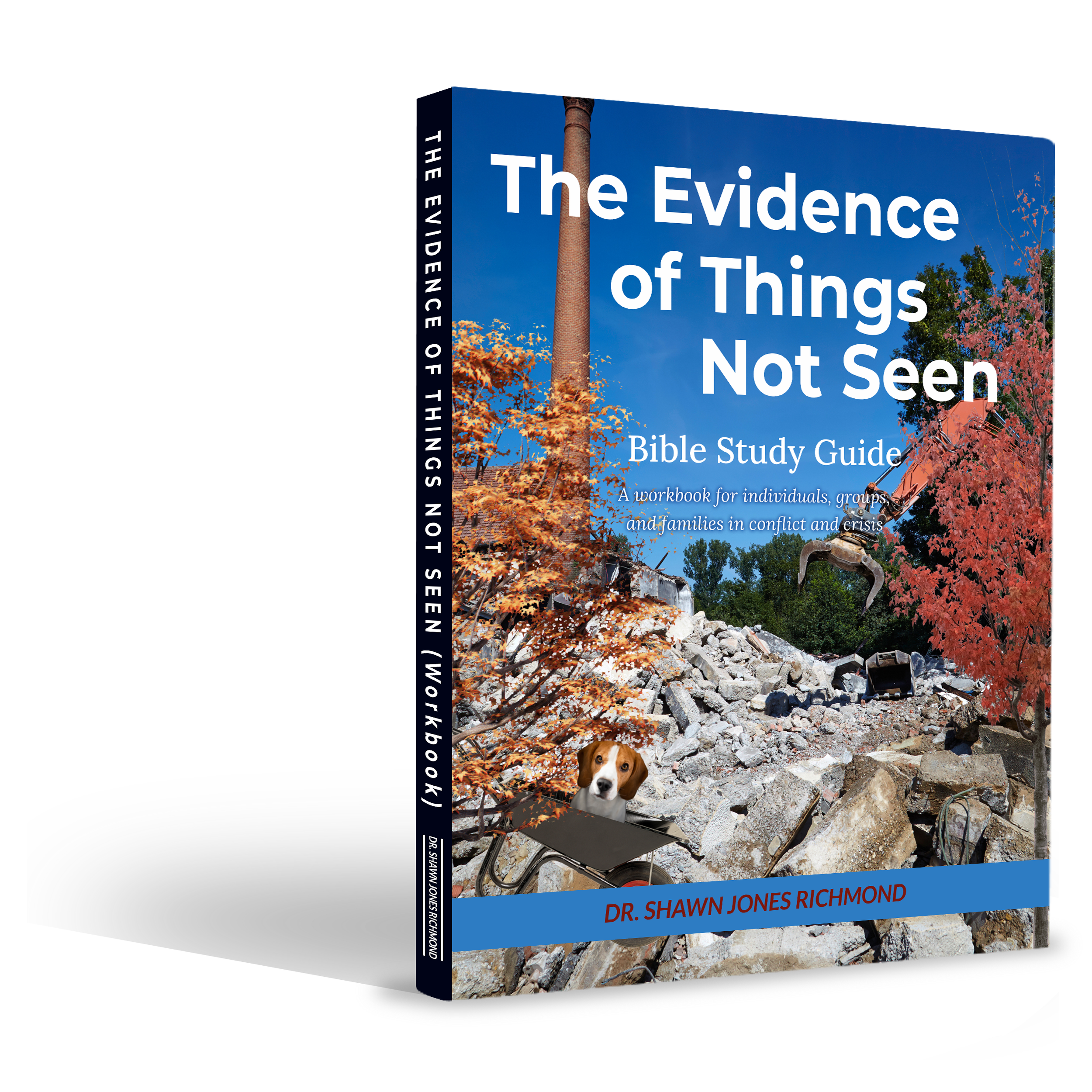 (Workbook) The Evidence of Things Not Seen