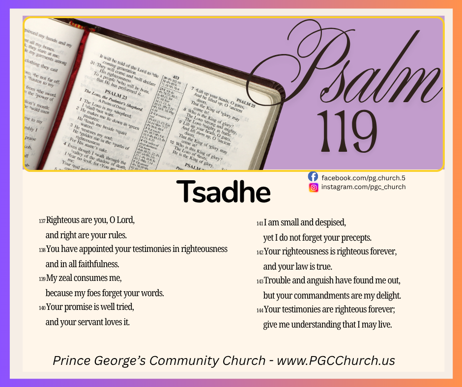 21 Tsadhe,8_26,ESV.png
