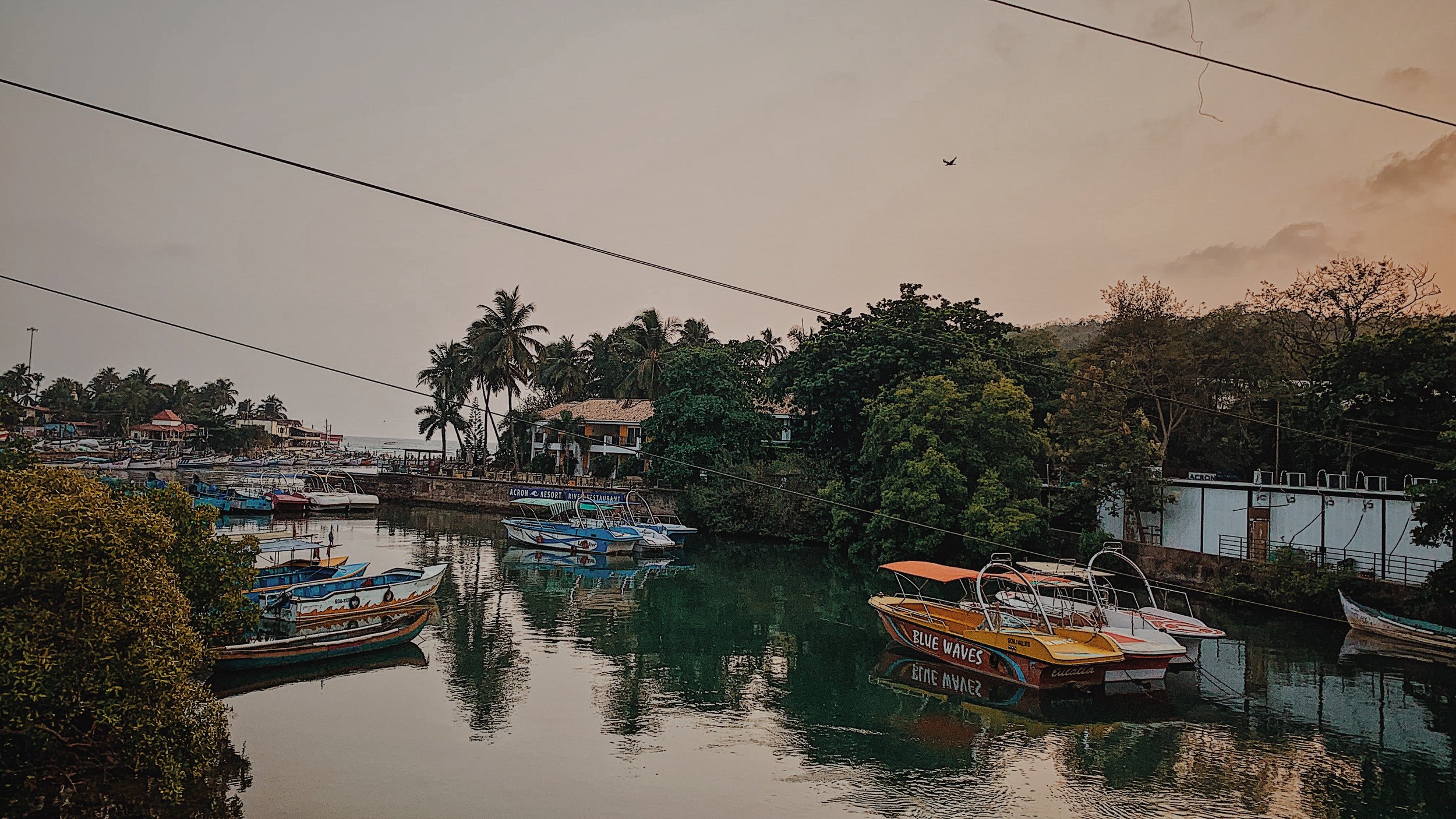 wandering aimlessly around Baga