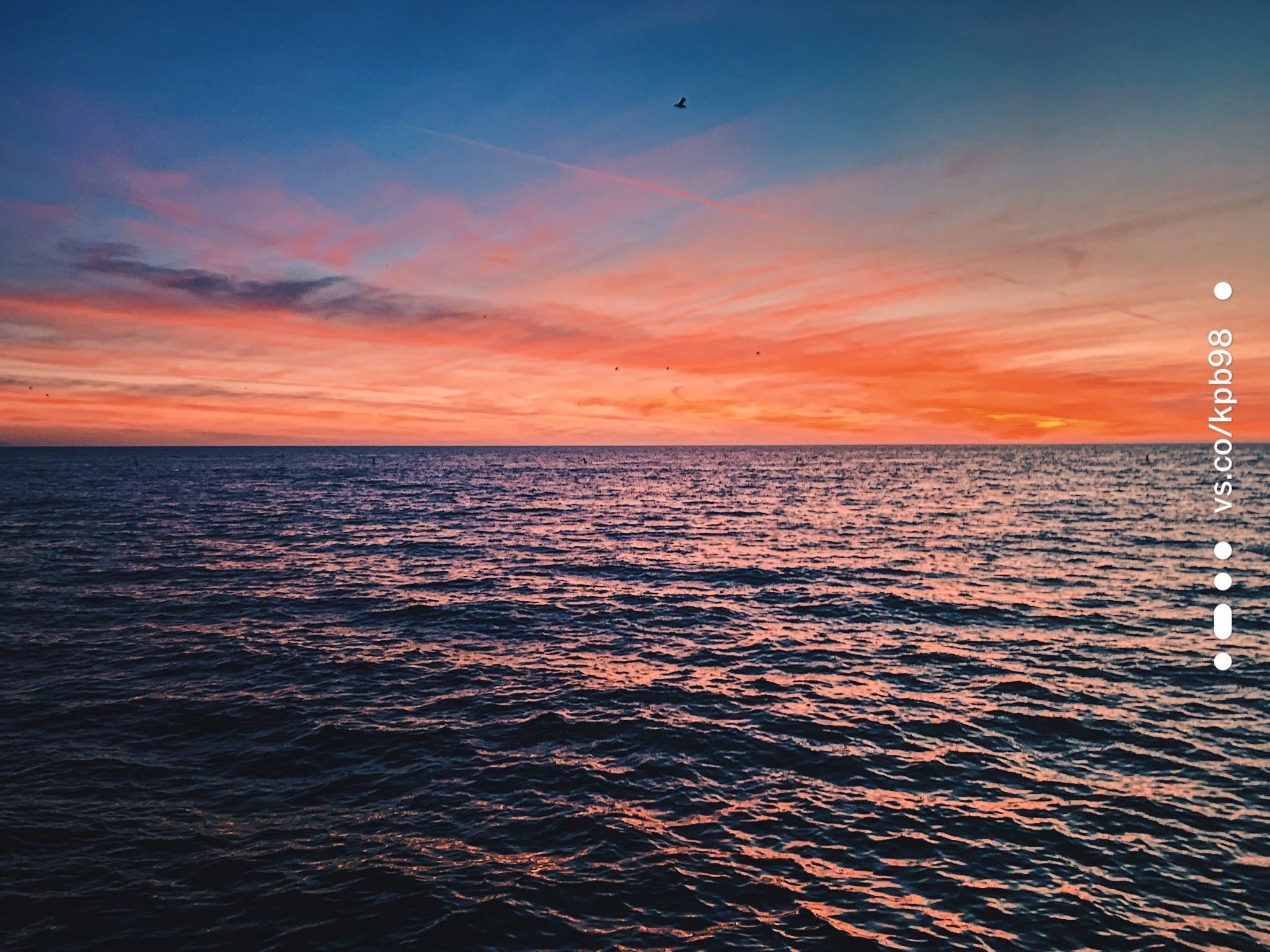  sunsets in Santa Monica 