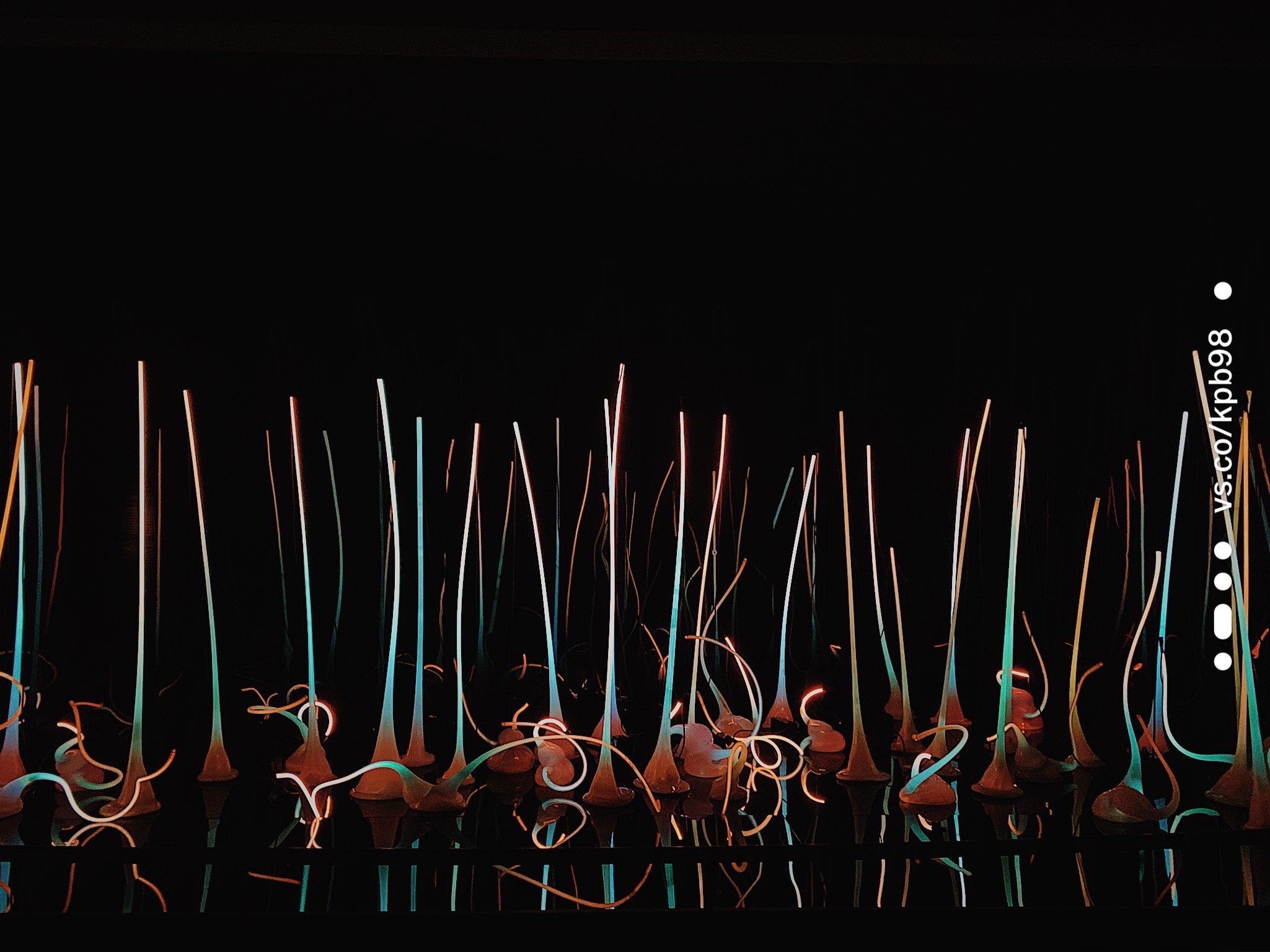  scouting for a new home in Seattle 