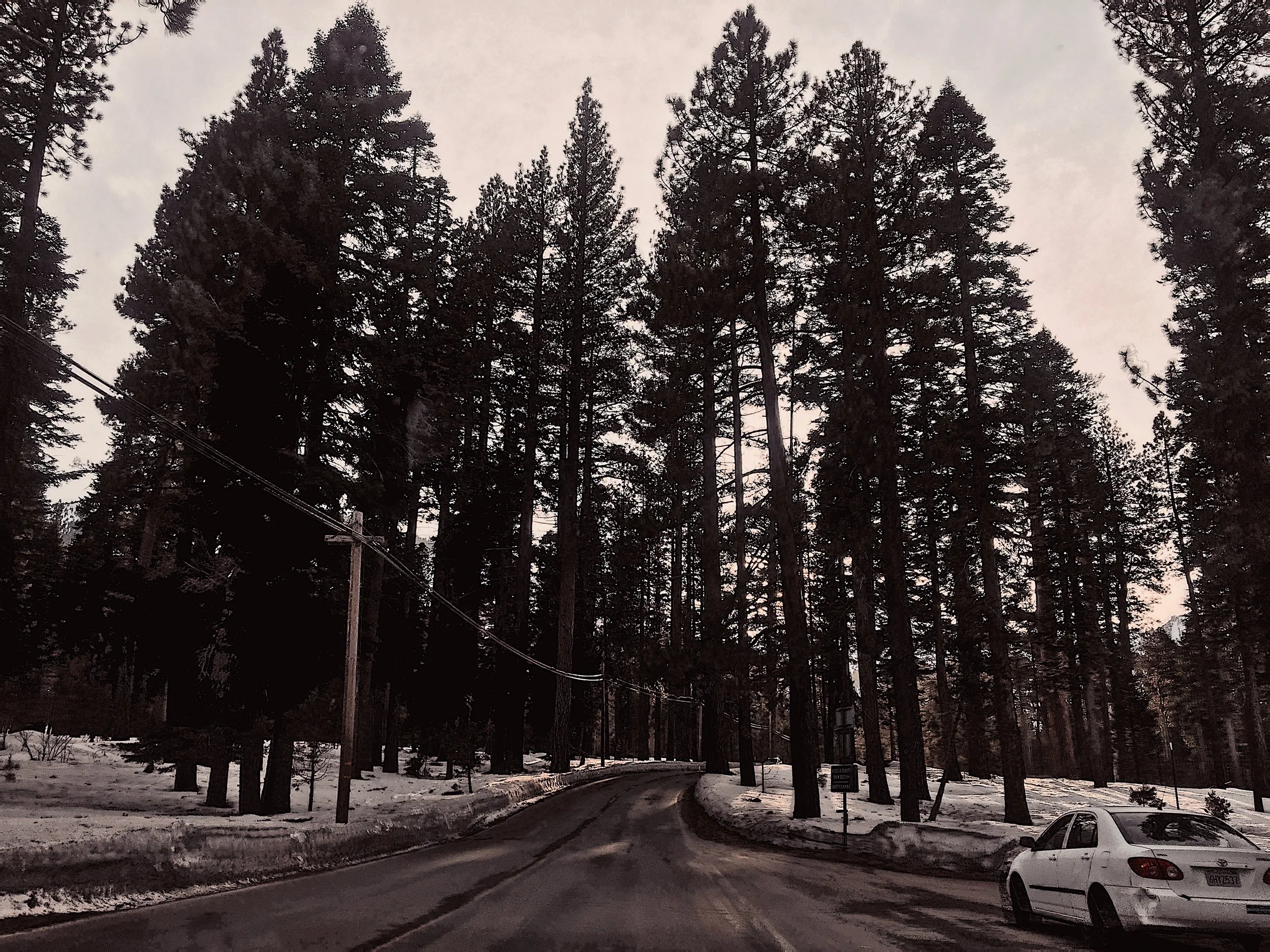  impromptu getaway to Tahoe 