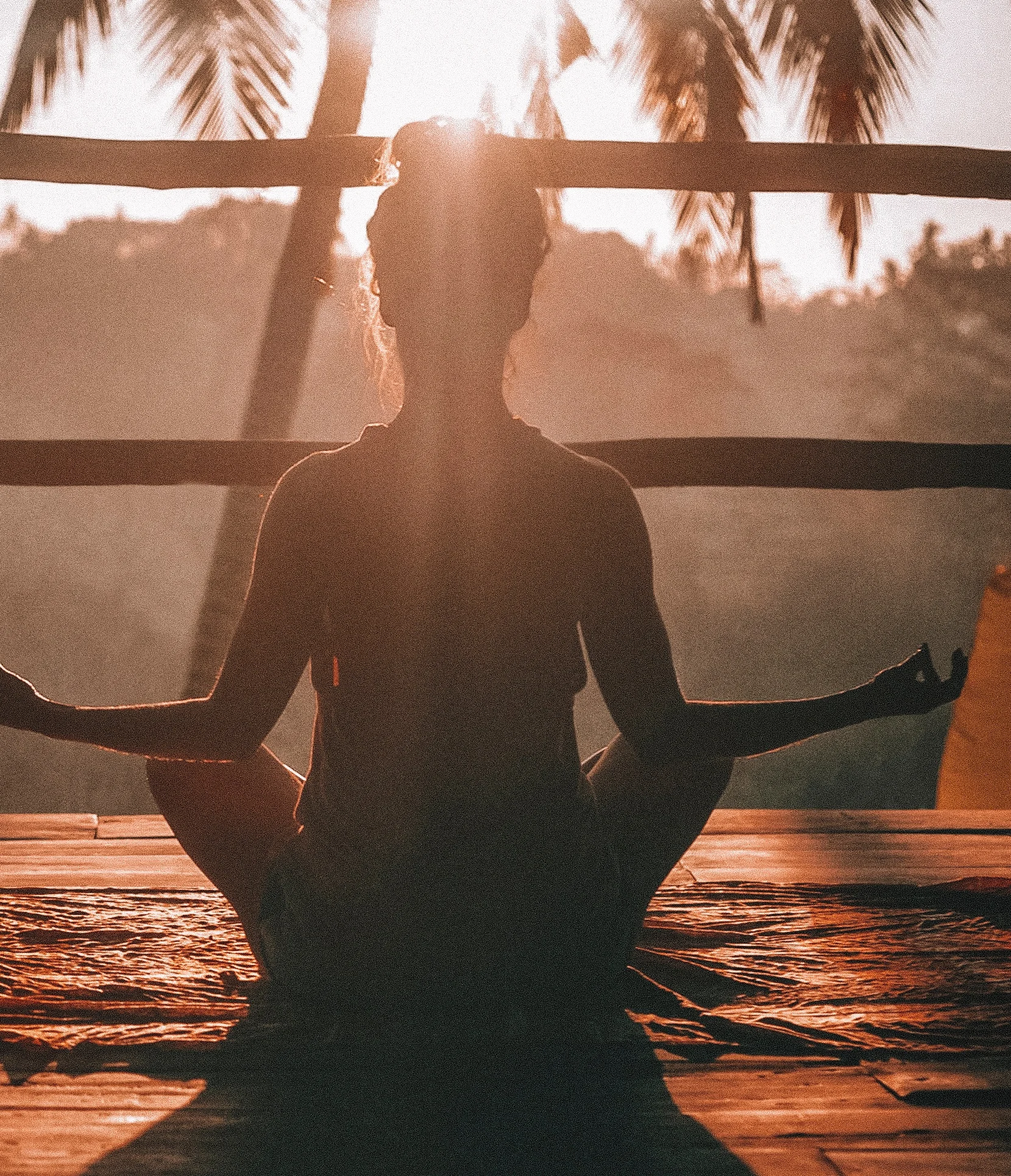 Mishale Ballinger :: Hatha | Beginning Yoga