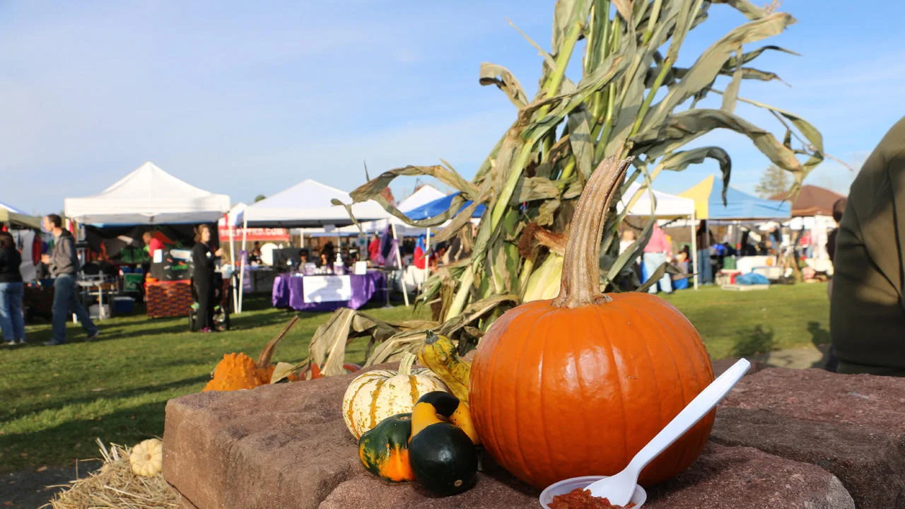 hc-pictures-spooktacular-chili-cookoff-2015110-024.jpg