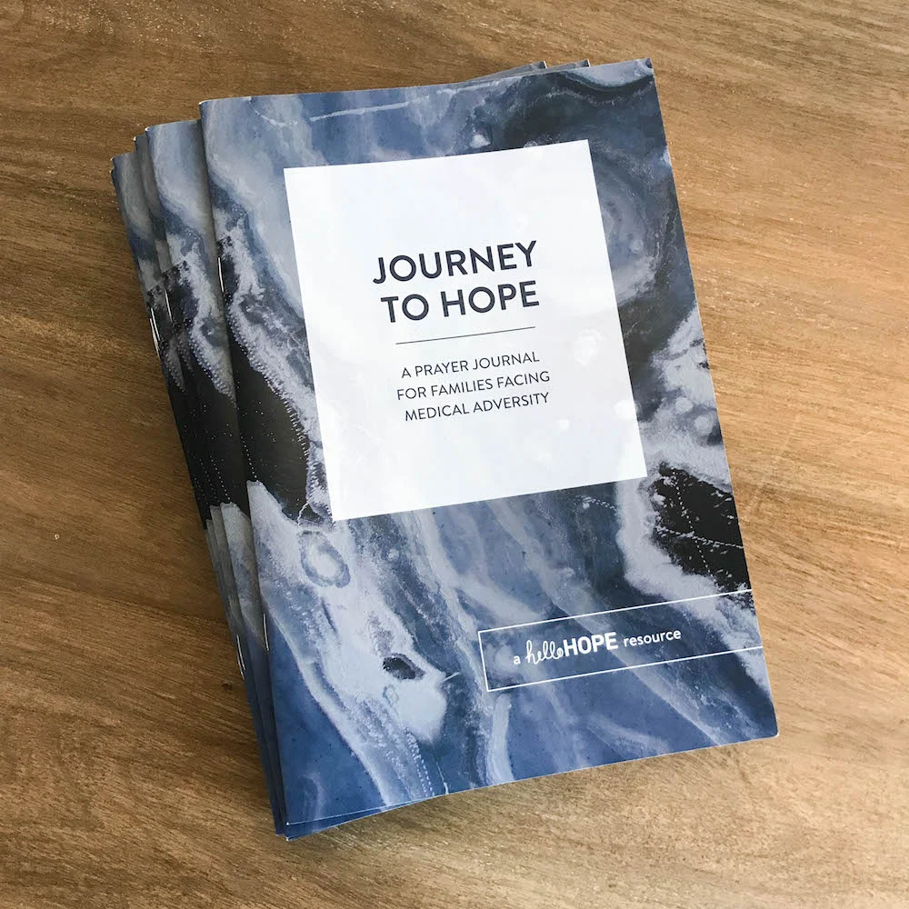 Journey to Hope Prayer Journal