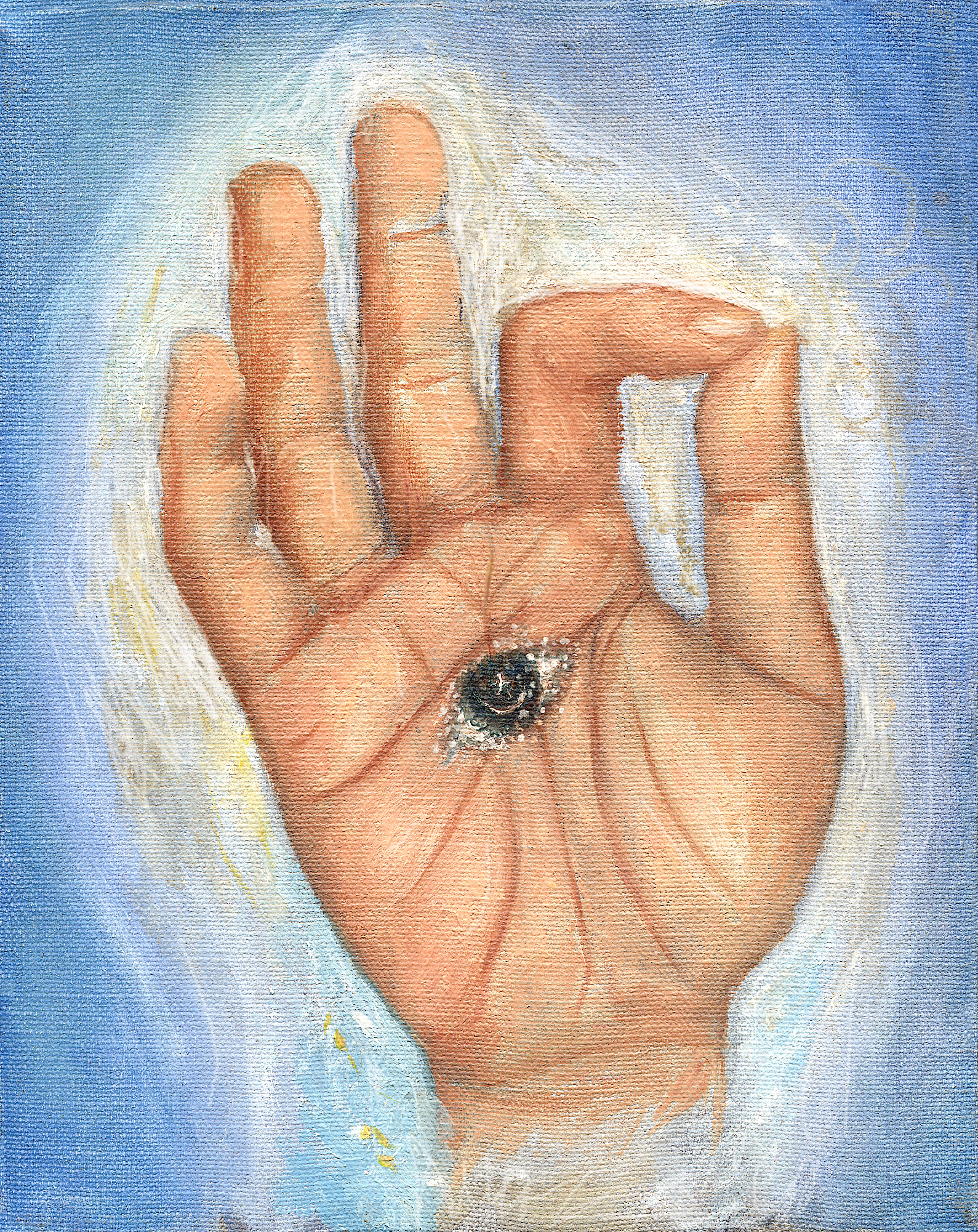 Eye in Hand Vision