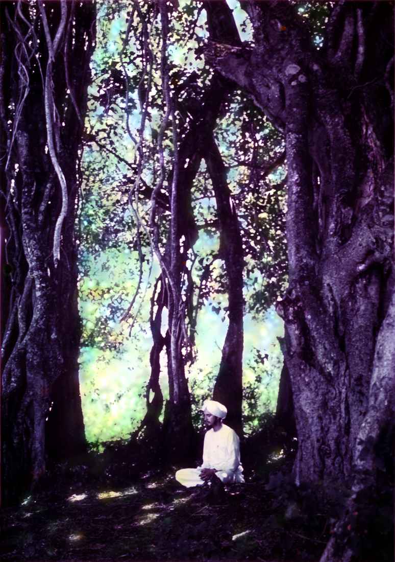 Photo of the artist meditating inside a banyan grove