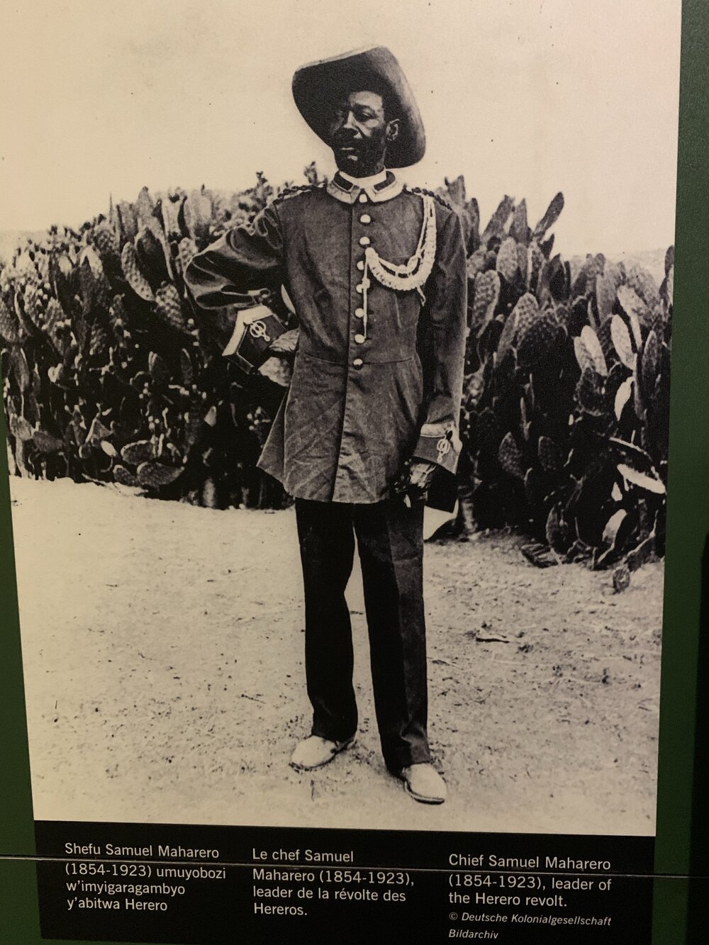 Herero hero.jpg