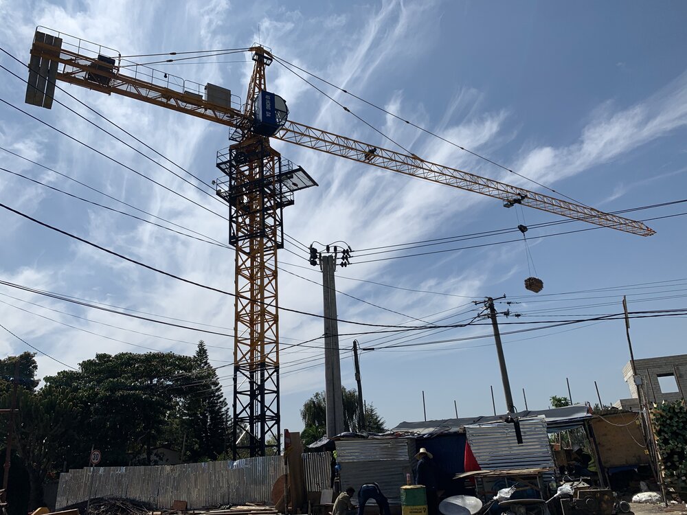 The (unofficial) bird of Addis - the crane.