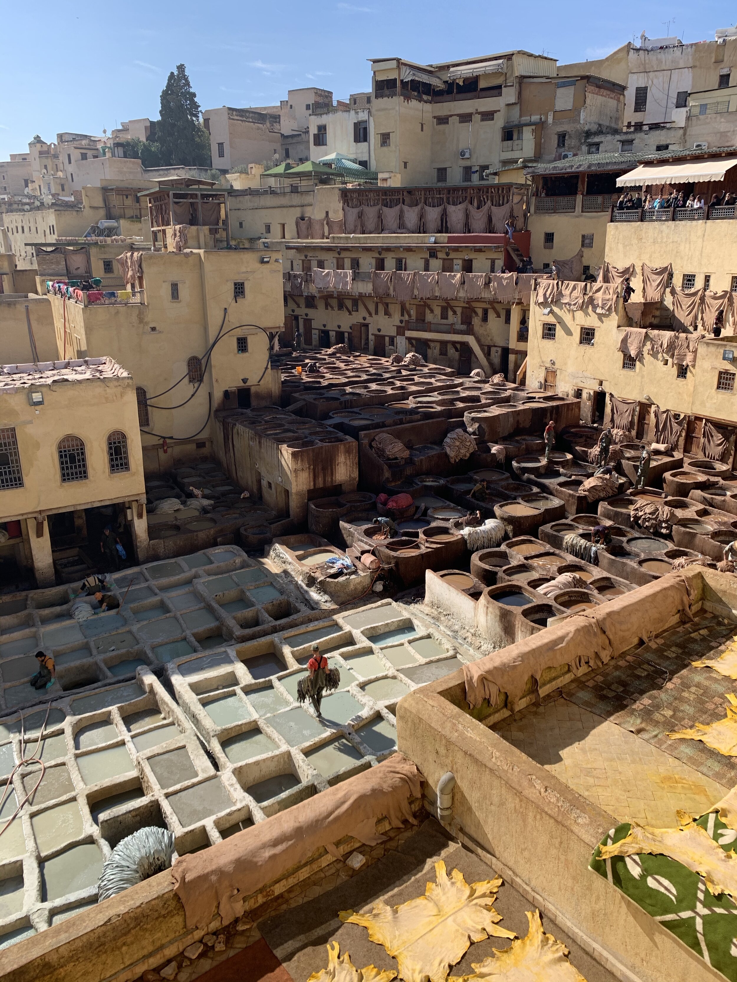 The first of many shots from the Chouara Tanneries terrace. It smells far worse than it looks. That's why they give everyone sprigs of mint to put between your lips and nose - a "gas mask"