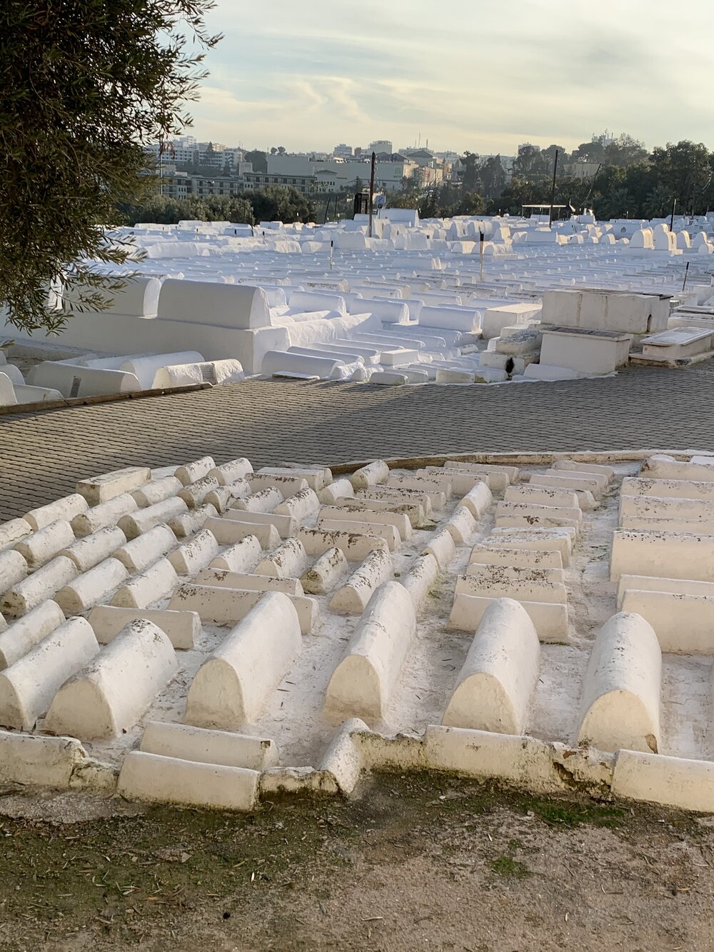 Mellah cemetary.jpg