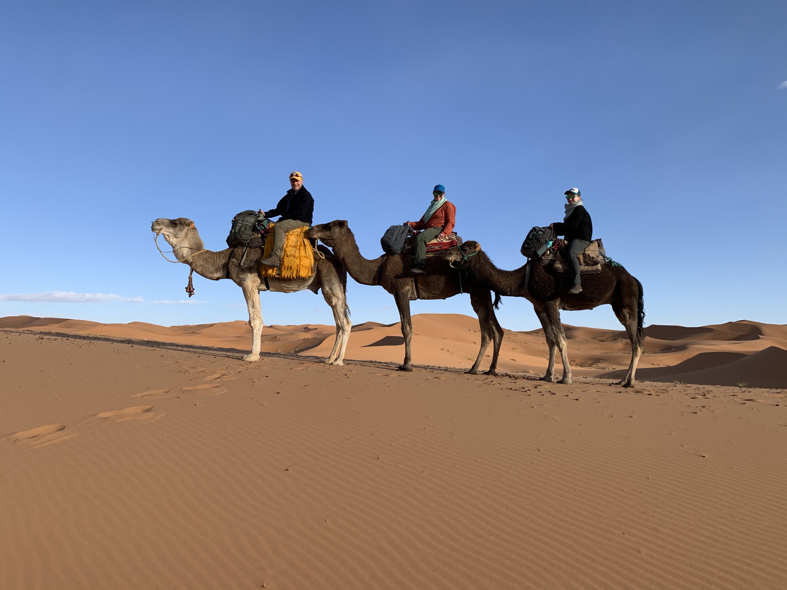 Family portrait with camels #1.jpg