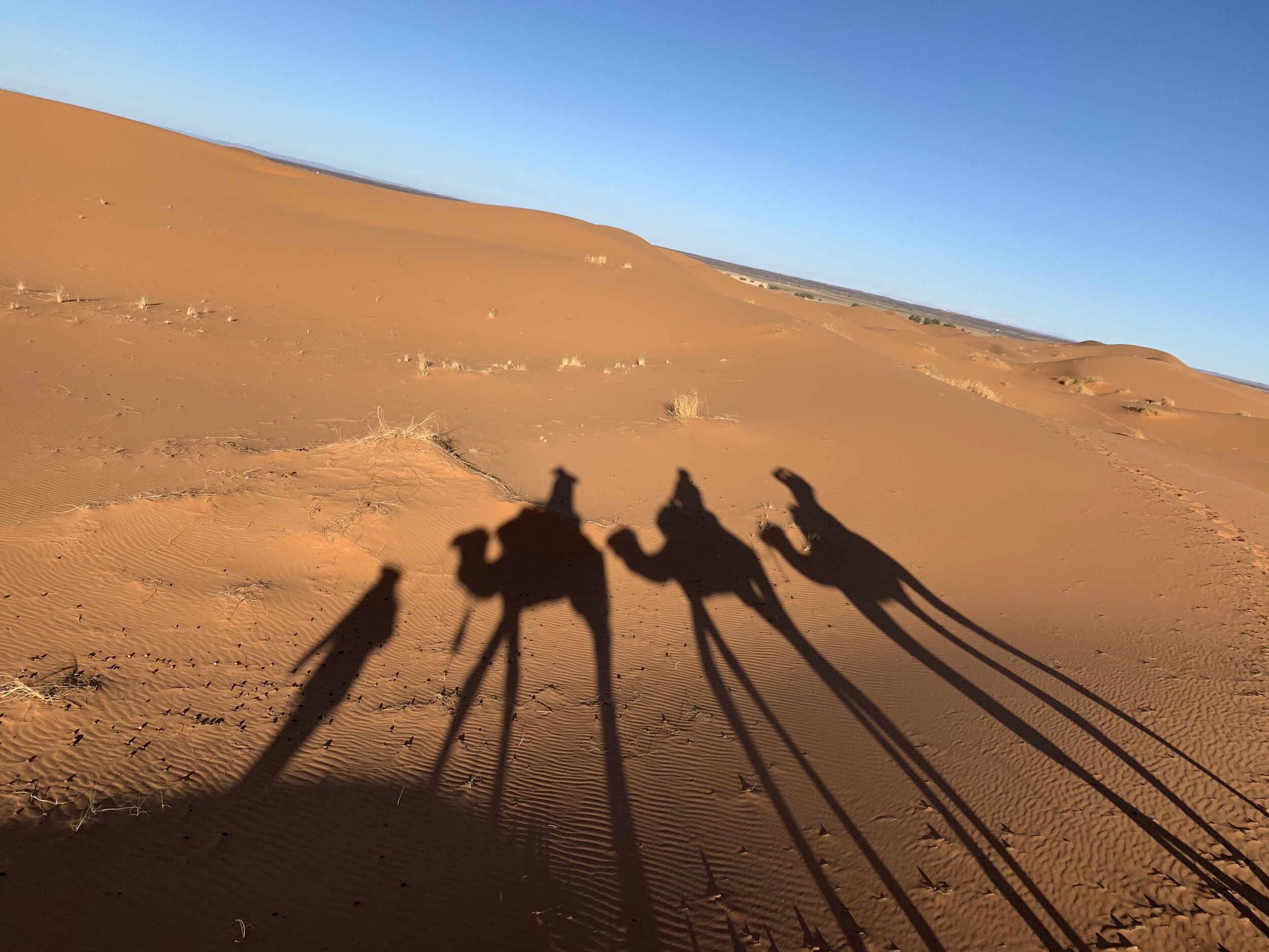 Desert shadows #2.jpg