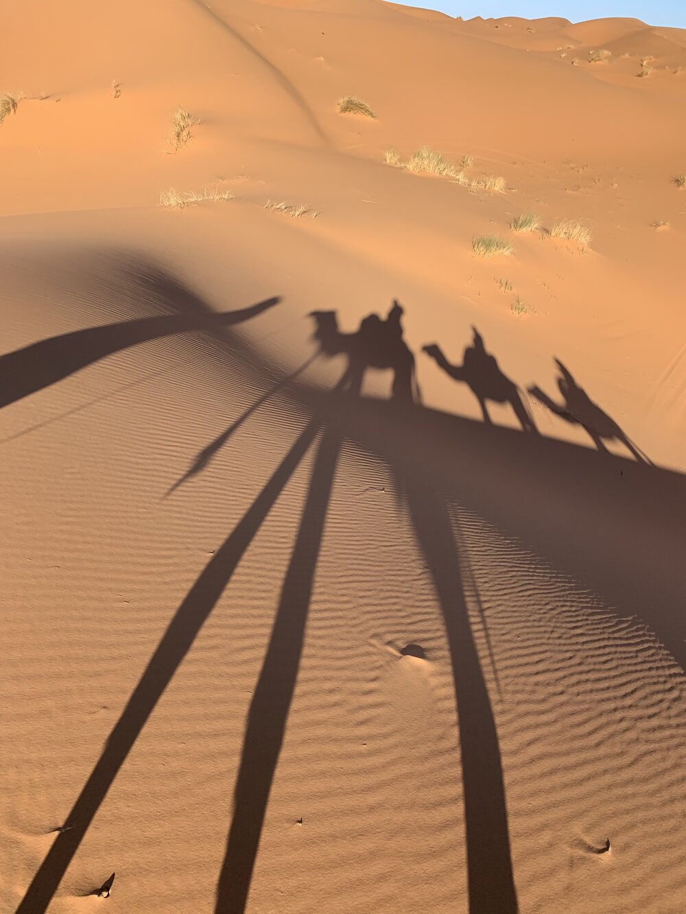 Desert shadows.jpg