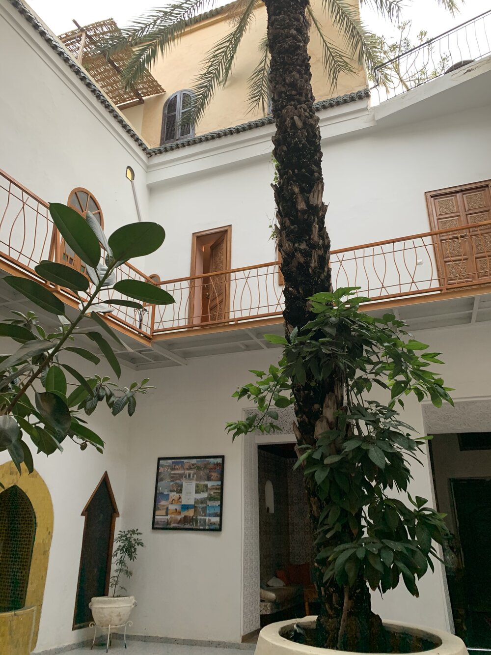 Riad garden.jpg