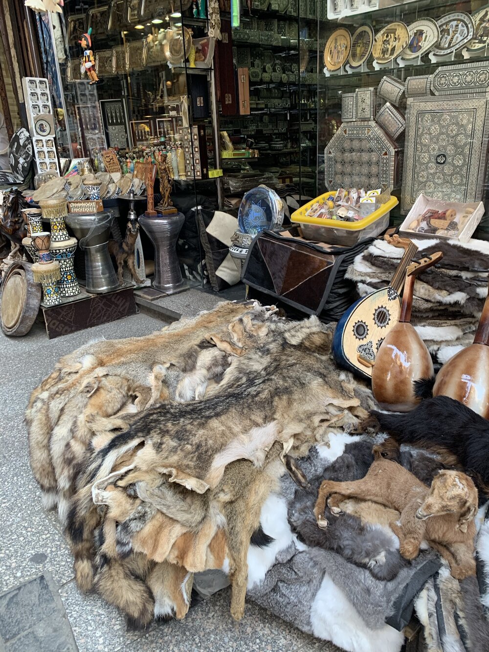 Cairo street market pelts.jpg