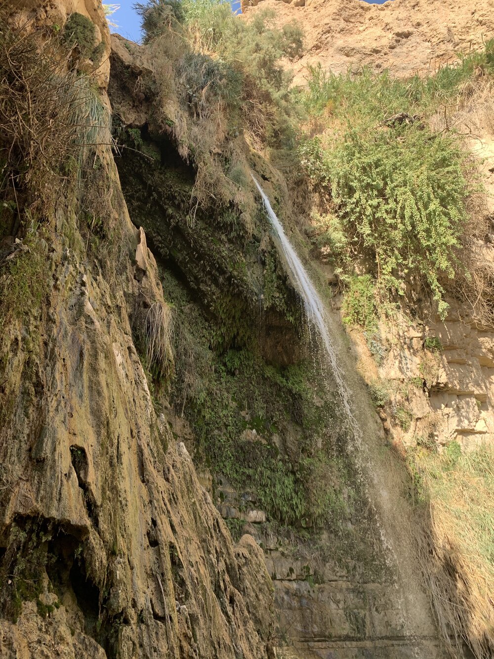 Ein Gedi #3.jpg