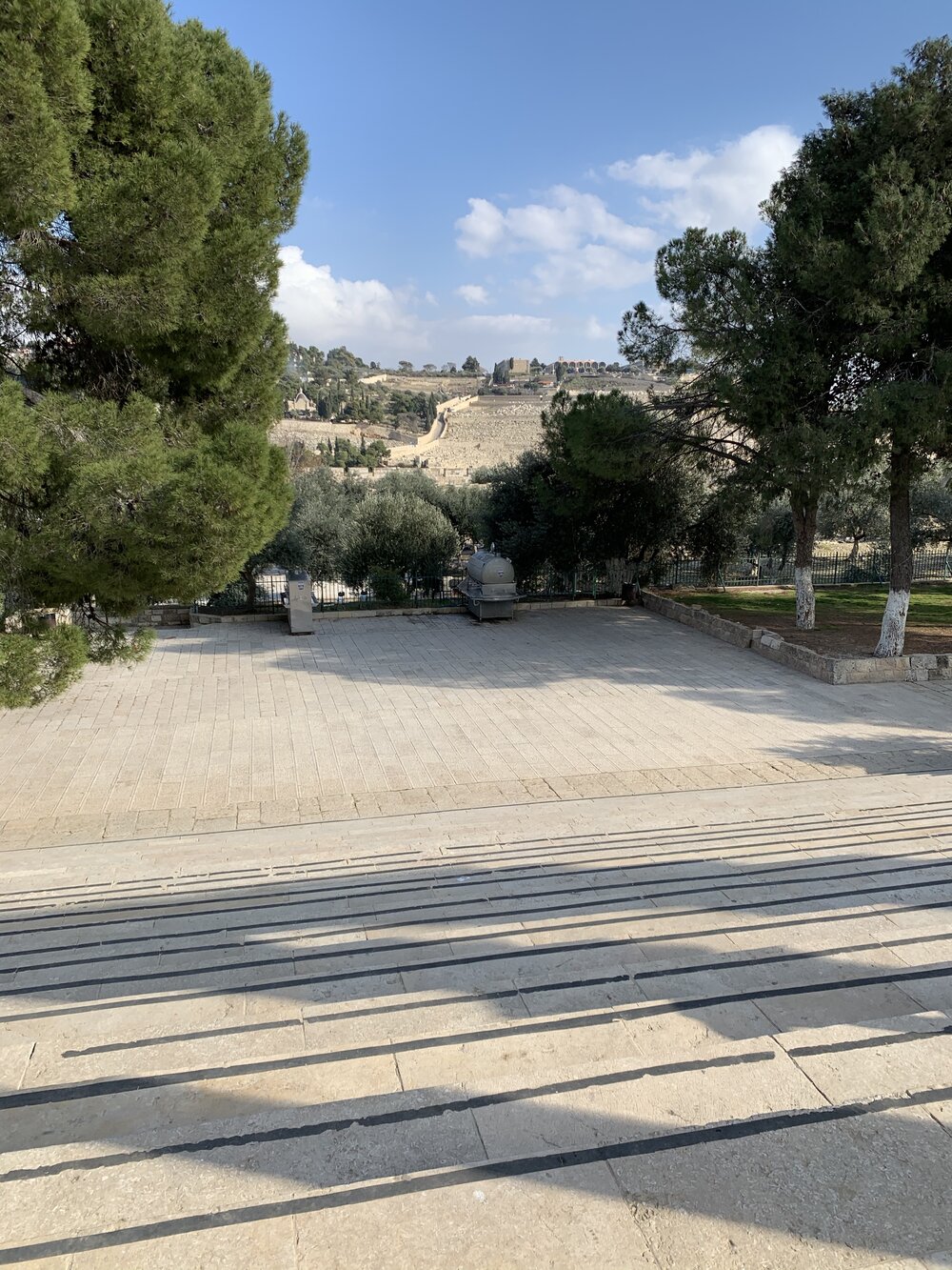 Mt Olives.jpg