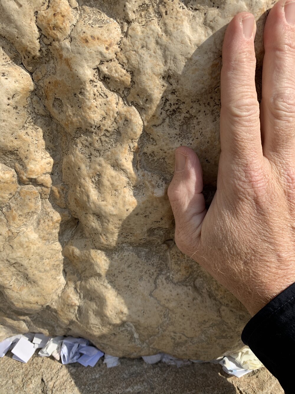 Western Wall #3.jpg