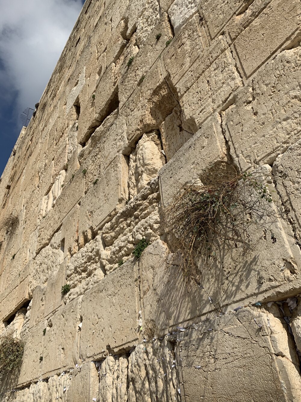 Western Wall #2.jpg